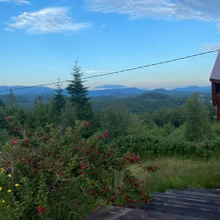 Panoramic With Forest And Mountain Views *