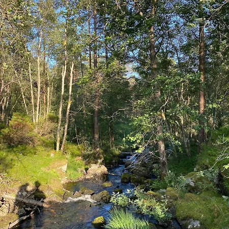 Panoramic With Forest And Mountain Views Holiday home *