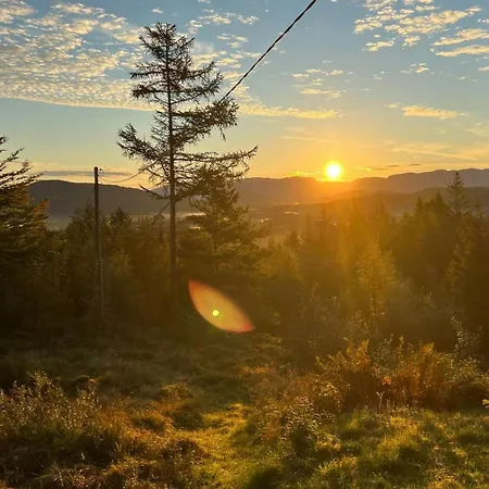 Panoramic With Forest And Mountain Views Tatil Evi Sveio